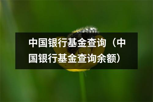 中国银行基金查询（中国银行基金查询余额）