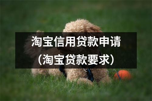 淘宝信用贷款申请（淘宝贷款要求）