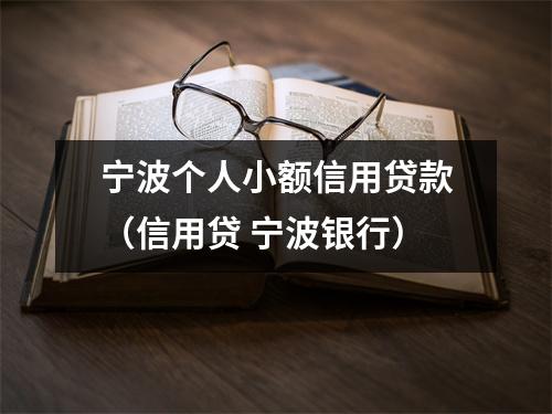 宁波个人小额信用贷款（信用贷 宁波银行）