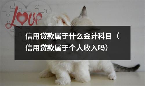 信用贷款属于什么会计科目（信用贷款属于个人收入吗）