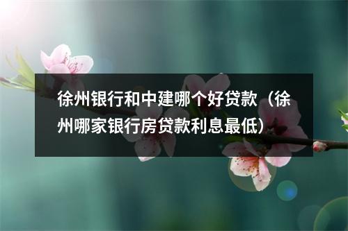 徐州银行和中建哪个好贷款（徐州哪家银行房贷款利息最低）