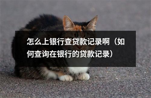 怎么上银行查贷款记录啊（如何查询在银行的贷款记录）