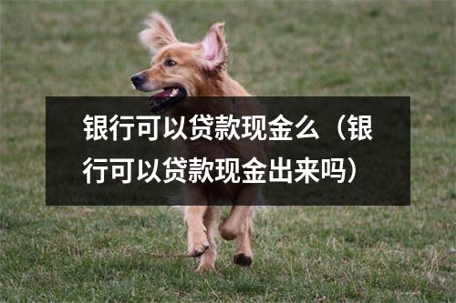 银行可以贷款现金么（银行可以贷款现金出来吗）