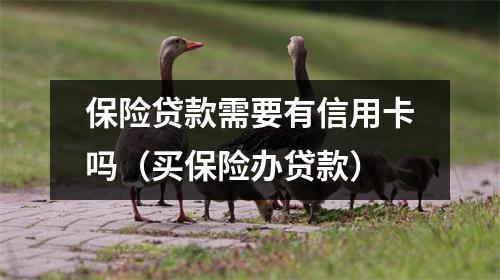 保险贷款需要有信用卡吗(买保险办贷款)
