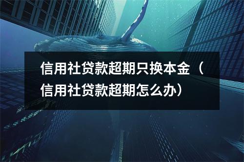 信用社贷款超期只换本金（信用社贷款超期怎么办）