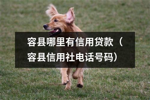 容县哪里有信用贷款（容县信用社电话号码）