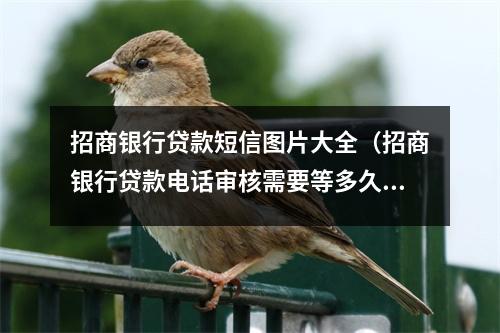 招商银行贷款短信图片大全（招商银行贷款电话审核需要等多久?）