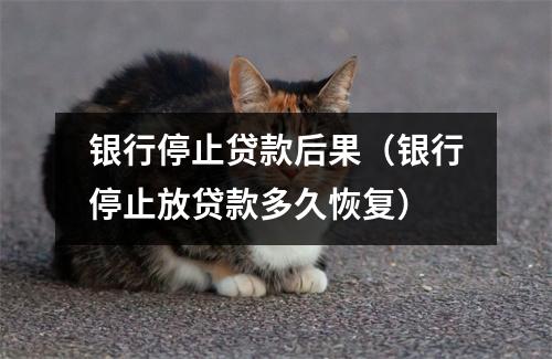 银行停止贷款后果(银行停止放贷款多久恢复)