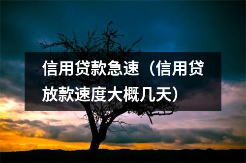 信用贷款急速（信用贷放款速度大概几天）