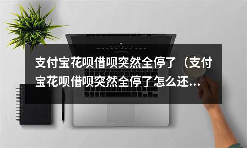 支付宝花呗借呗突然全停了（支付宝花呗借呗突然全停了怎么还款）