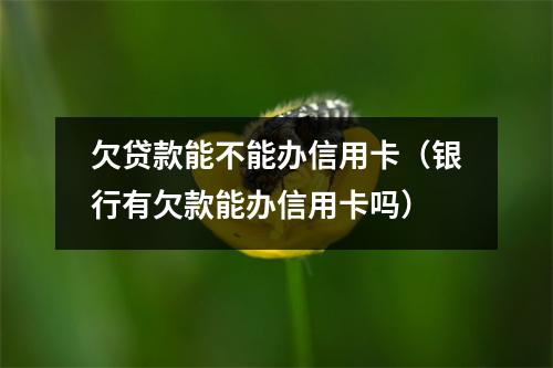 欠贷款能不能办信用卡(银行有欠款能办信用卡吗)