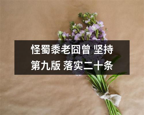 怪蜀黍老囧曾 坚持第九版 落实二十条