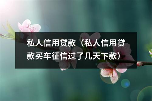 私人信用贷款（私人信用贷款买车征信过了几天下款）