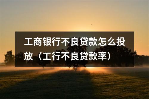 工商银行不良贷款怎么投放（工行不良贷款率）