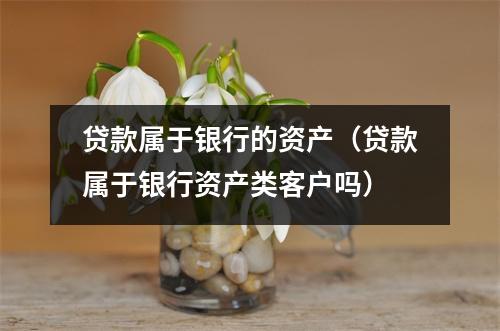 贷款属于银行的资产（贷款属于银行资产类客户吗）