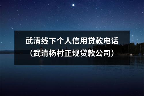 武清线下个人信用贷款电话(武清杨村正规贷款公司)