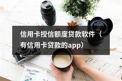信用卡授信额度贷款软件（有信用卡贷款的app）
