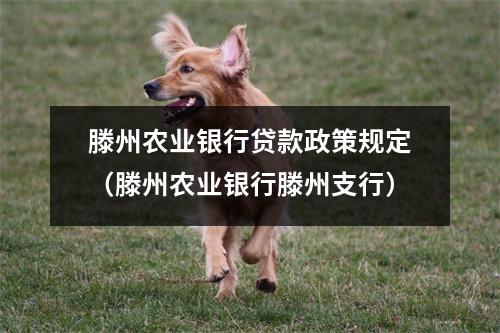 滕州农业银行贷款政策规定(滕州农业银行滕州支行)