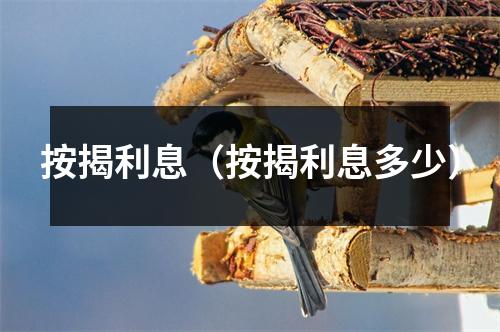 按揭利息（按揭利息多少）