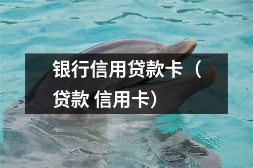 银行信用贷款卡（贷款 信用卡）