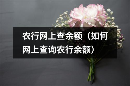 农行网上查余额（如何网上查询农行余额）