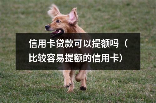 信用卡贷款可以提额吗（比较容易提额的信用卡）