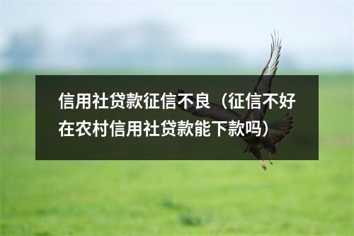 信用社贷款征信不良（征信不好在农村信用社贷款能下款吗）