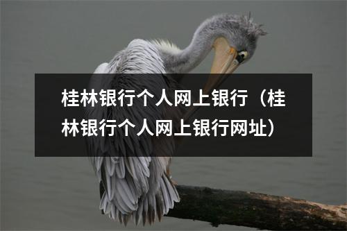 桂林银行个人网上银行(桂林银行个人网上银行网址)