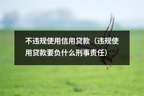不违规使用信用贷款(违规使用贷款要负什么刑事责任)