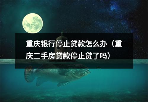 重庆银行停止贷款怎么办（重庆二手房贷款停止贷了吗）