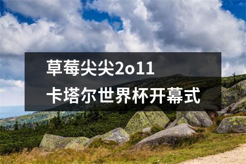 草莓尖尖2o11 卡塔尔世界杯开幕式