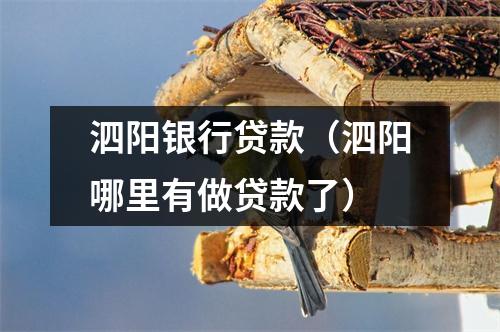 泗阳银行贷款（泗阳哪里有做贷款了）