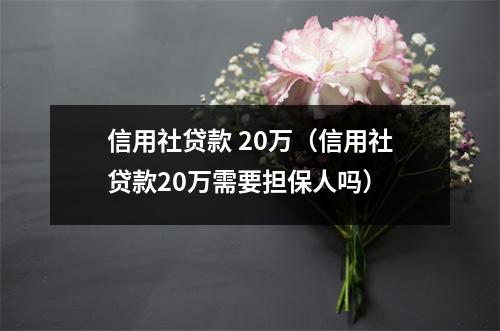 信用社贷款 20万（信用社贷款20万需要担保人吗）