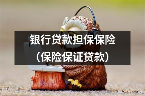 银行贷款担保保险（保险保证贷款）
