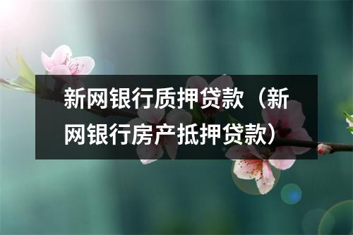 新网银行质押贷款(新网银行房产抵押贷款)