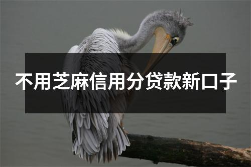 不用芝麻信用分贷款新口子