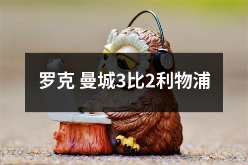 罗克 曼城3比2利物浦