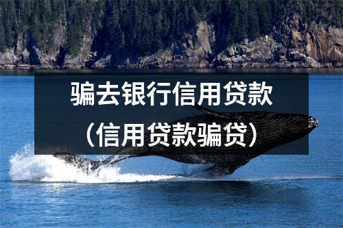 骗去银行信用贷款（信用贷款骗贷）