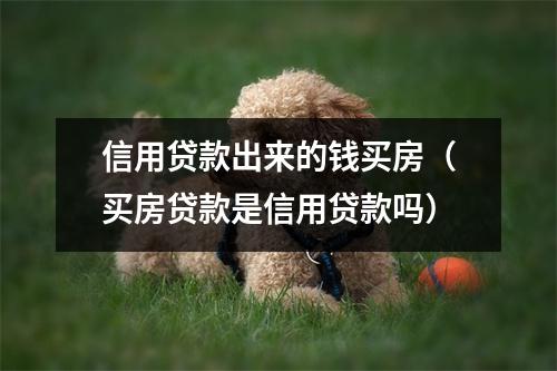 信用贷款出来的钱买房（买房贷款是信用贷款吗）