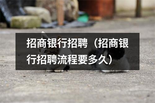 招商银行招聘（招商银行招聘流程要多久）