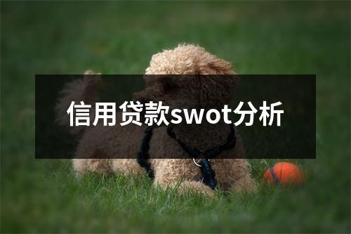 信用贷款swot分析