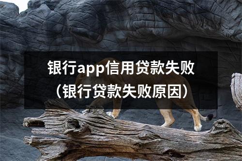 银行app信用贷款失败（银行贷款失败原因）