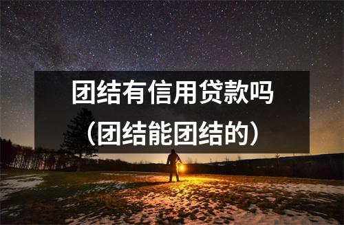 团结有信用贷款吗（团结能团结的）