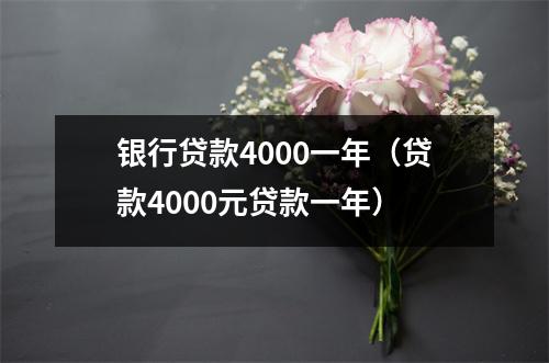 银行贷款4000一年（贷款4000元贷款一年）
