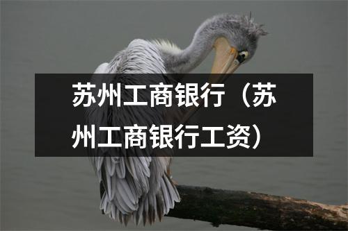 苏州工商银行（苏州工商银行工资）