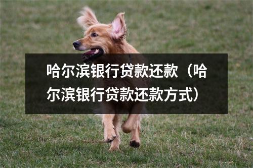 哈尔滨银行贷款还款（哈尔滨银行贷款还款方式）