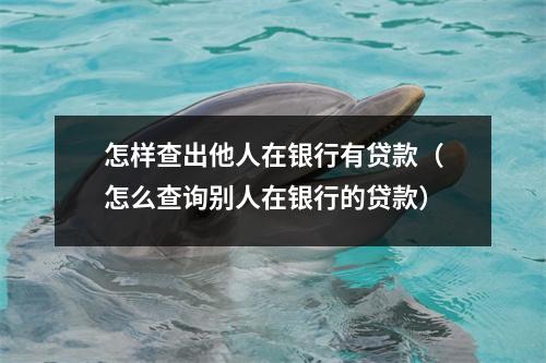 怎样查出他人在银行有贷款（怎么查询别人在银行的贷款）