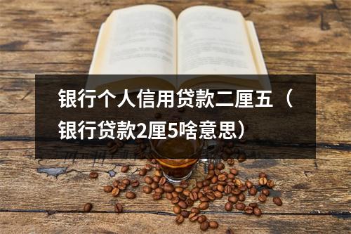 银行个人信用贷款二厘五（银行贷款2厘5啥意思）