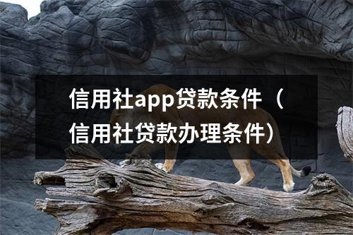 信用社app贷款条件（信用社贷款办理条件）