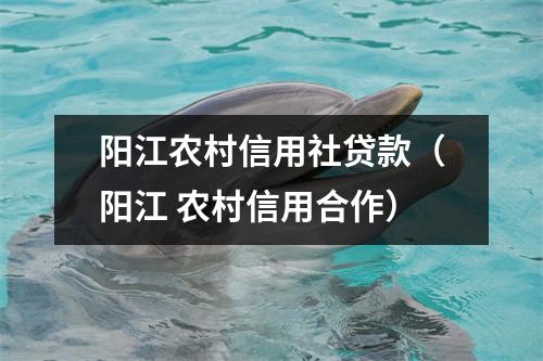阳江农村信用社贷款（阳江 农村信用合作）